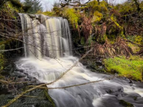 Glenariff Forest Getaway